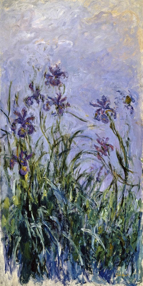 10" x 20" / Fine Art Paper Iris Mauves By Claude Monet Fine Art Print