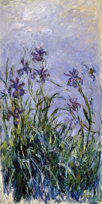 10" x 20" / Fine Art Paper Iris Mauves By Claude Monet Fine Art Print