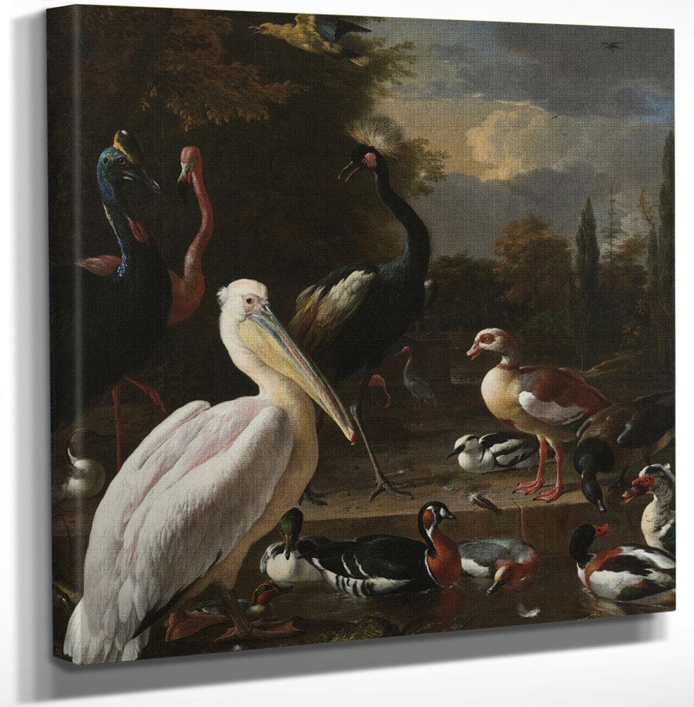 12" x 12" / Canvas Wrap A Pelican And Other Birds Near A Pool Aka The Floating Feather By Melchior De Hondecoeter Fine Art Print