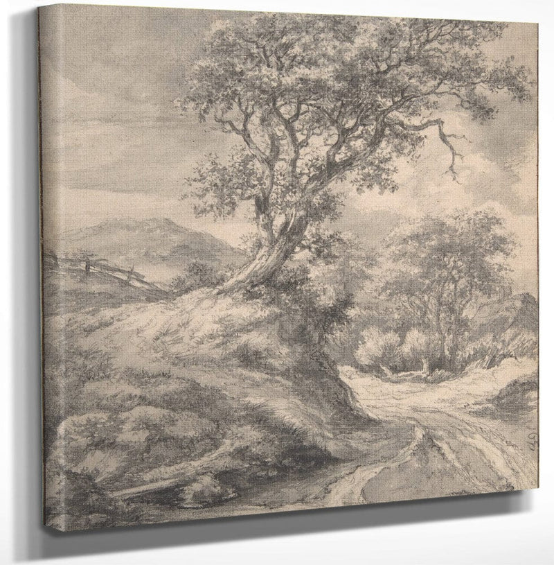 12" x 12" / Canvas Wrap Dune Landscape With Oak Tree By Jacob Van Rusdael Fine Art Print