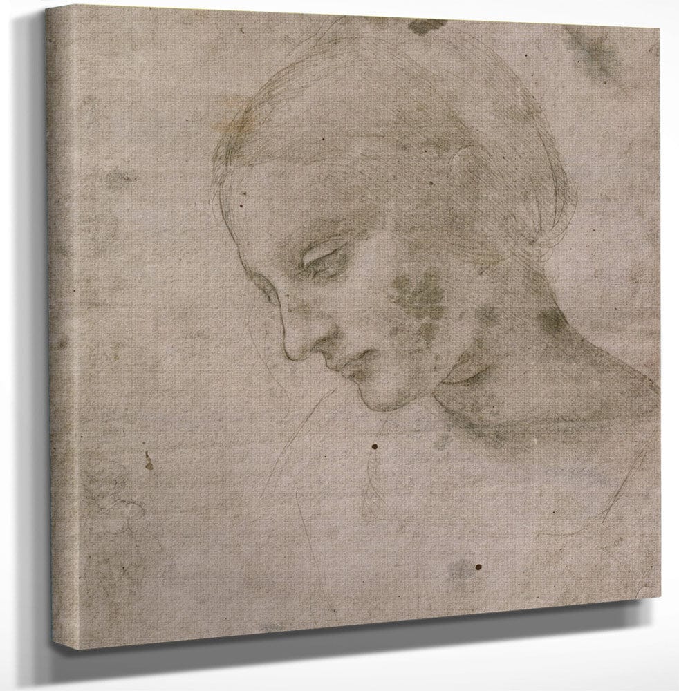 12" x 12" / Canvas Wrap Head Of A Young Woman Or Head Of The Virgin By Leonardo Da Vinci Fine Art Print