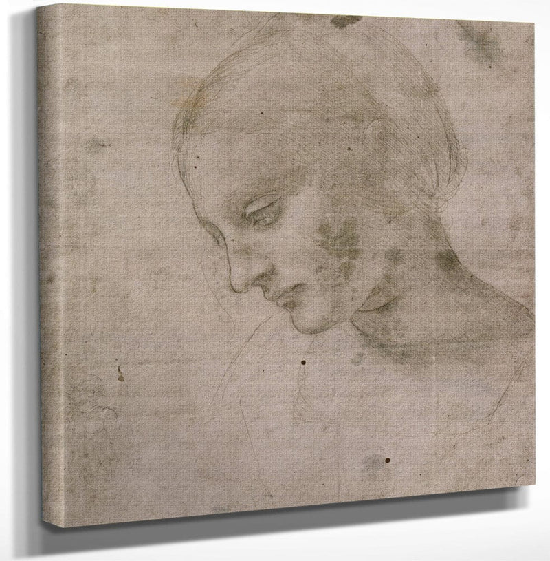 12" x 12" / Canvas Wrap Head Of A Young Woman Or Head Of The Virgin By Leonardo Da Vinci Fine Art Print