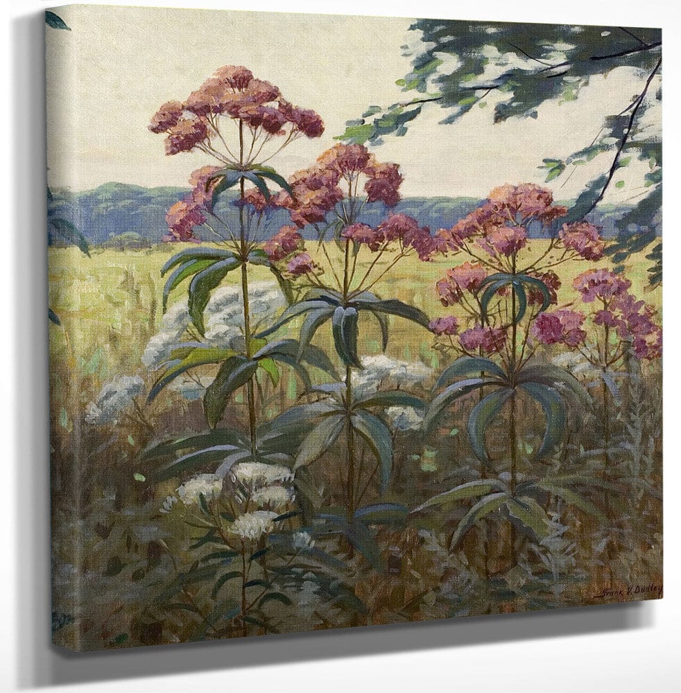 12" x 12" / Canvas Wrap Joe Pye Weed & Boneset By Frank V. Dudley Fine Art Print