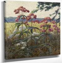 12" x 12" / Canvas Wrap Joe Pye Weed & Boneset By Frank V. Dudley Fine Art Print