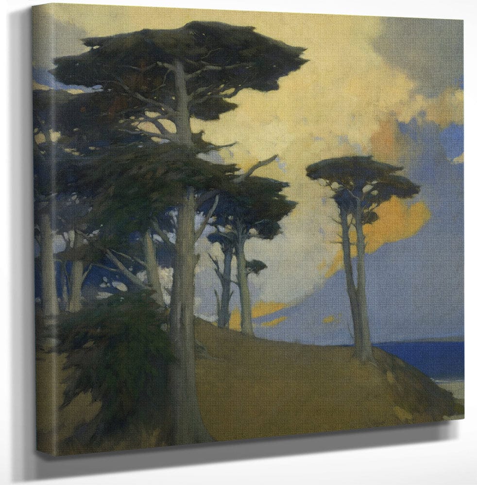 12" x 12" / Canvas Wrap Monterey Cypress By Arthur Frank Mathews Fine Art Print