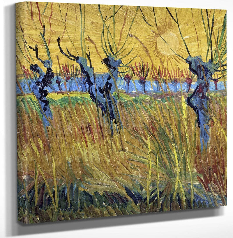 12" x 12" / Canvas Wrap Pollarded Willows And Setting Sun By Vincent Van Gogh Fine Art Print