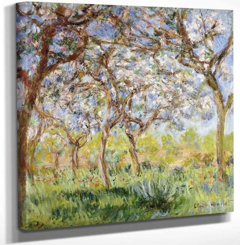 12" x 12" / Canvas Wrap Spring At Giverny By Claude Monet Fine Art Print