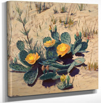 12" x 12" / Canvas Wrap Strangers From Far Away (Cactus) By Frank V. Dudley Fine Art Print