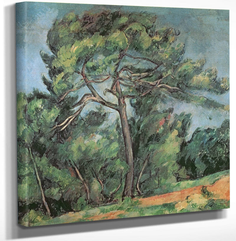 12" x 12" / Canvas Wrap The Large Pine 1 By Paul Cezanne Fine Art Print