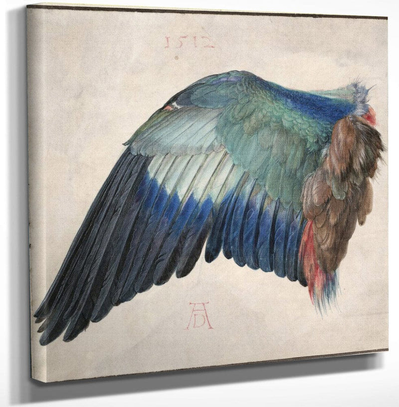 12" x 12" / Canvas Wrap Wing Of A Roller 1500 By Albrecht Durer Fine Art Print