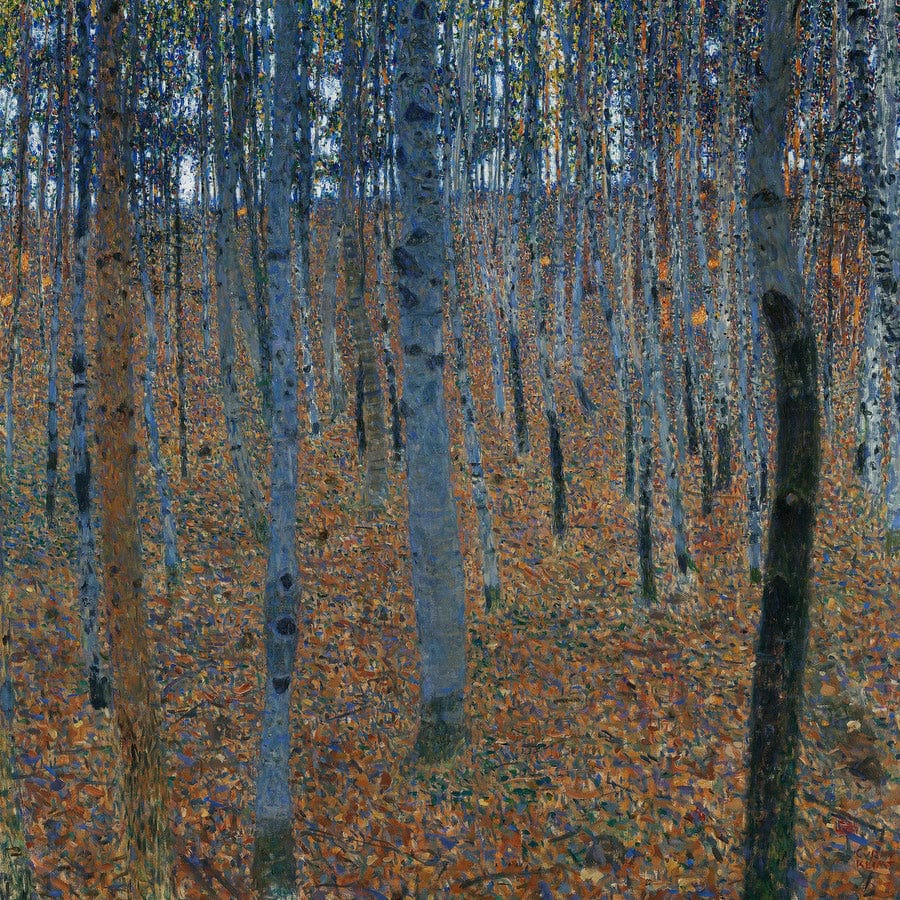 12" x 12" / Fine Art Paper Beech Grove 1 1902 Galerie Neue Master By Gustav Klimt Fine Art Print