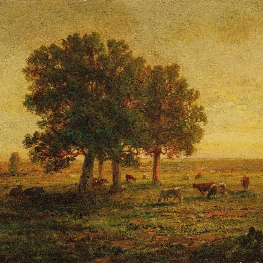 12" x 12" / Fine Art Paper Cows In A Group Of Oak Trees Apremont 1850 By Theodore Rousseau Fine Art Print