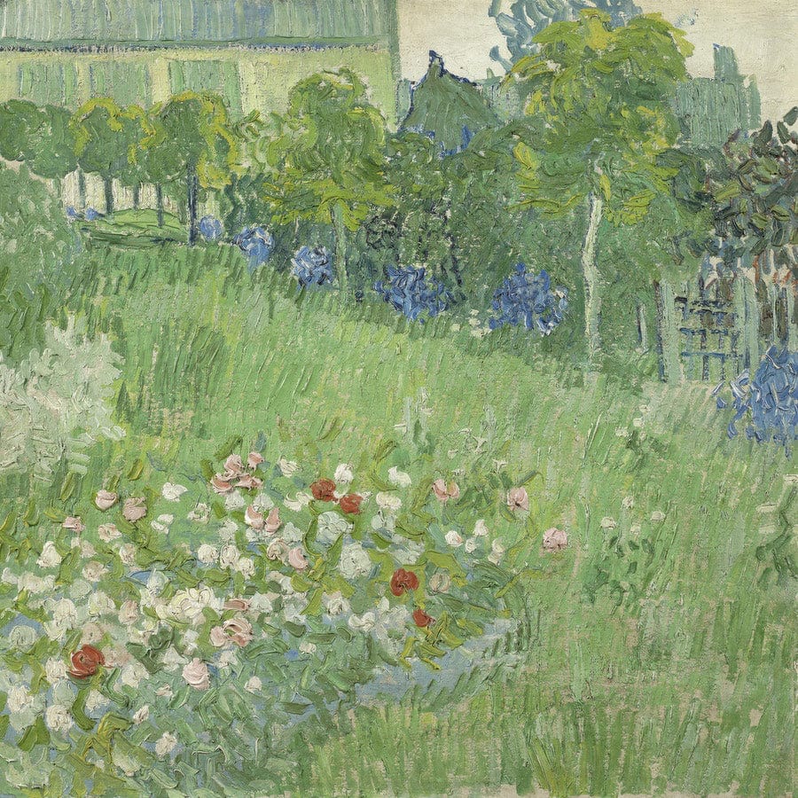 12" x 12" / Fine Art Paper Daubigny's Garden By Vincent Van Gogh Fine Art Print