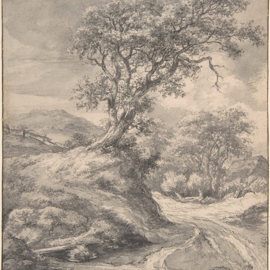 12" x 12" / Fine Art Paper Dune Landscape With Oak Tree By Jacob Van Rusdael Fine Art Print