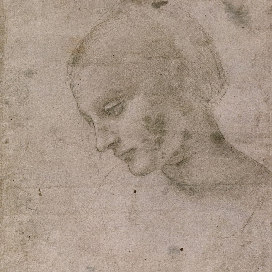 12" x 12" / Fine Art Paper Head Of A Young Woman Or Head Of The Virgin By Leonardo Da Vinci Fine Art Print