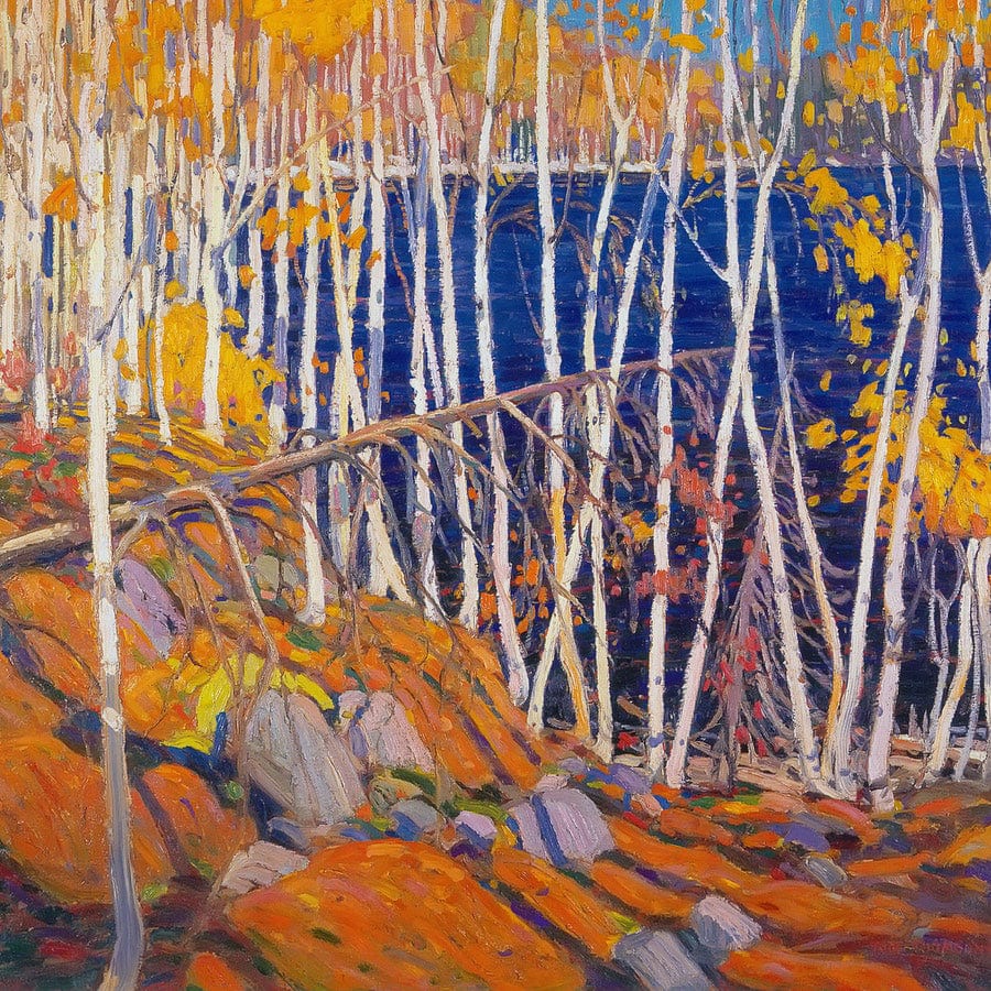 12" x 12" / Fine Art Paper In The Northland By Tom Thomson Fine Art Print