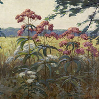 12" x 12" / Fine Art Paper Joe Pye Weed & Boneset By Frank V. Dudley Fine Art Print