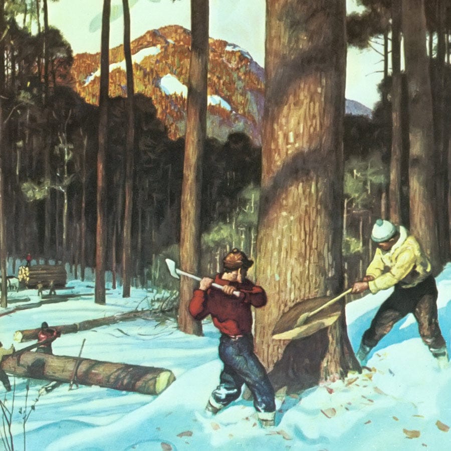 12" x 12" / Fine Art Paper Lumber By NC Wyeth Fine Art Print