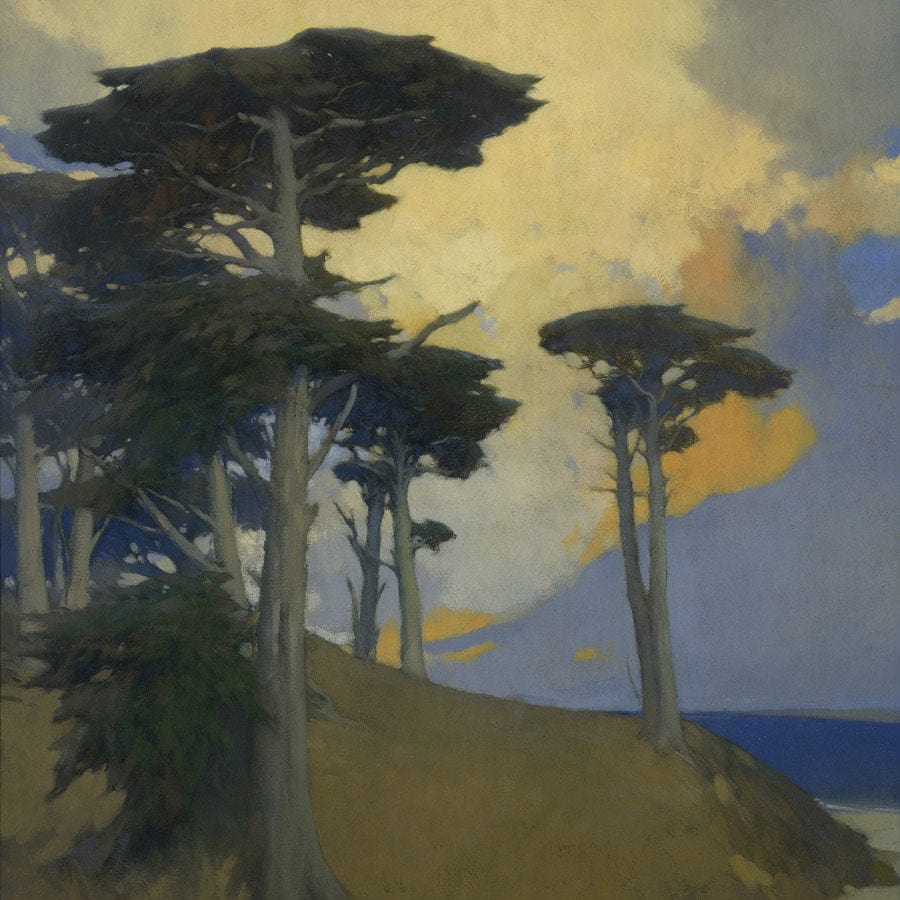 12" x 12" / Fine Art Paper Monterey Cypress By Arthur Frank Mathews Fine Art Print