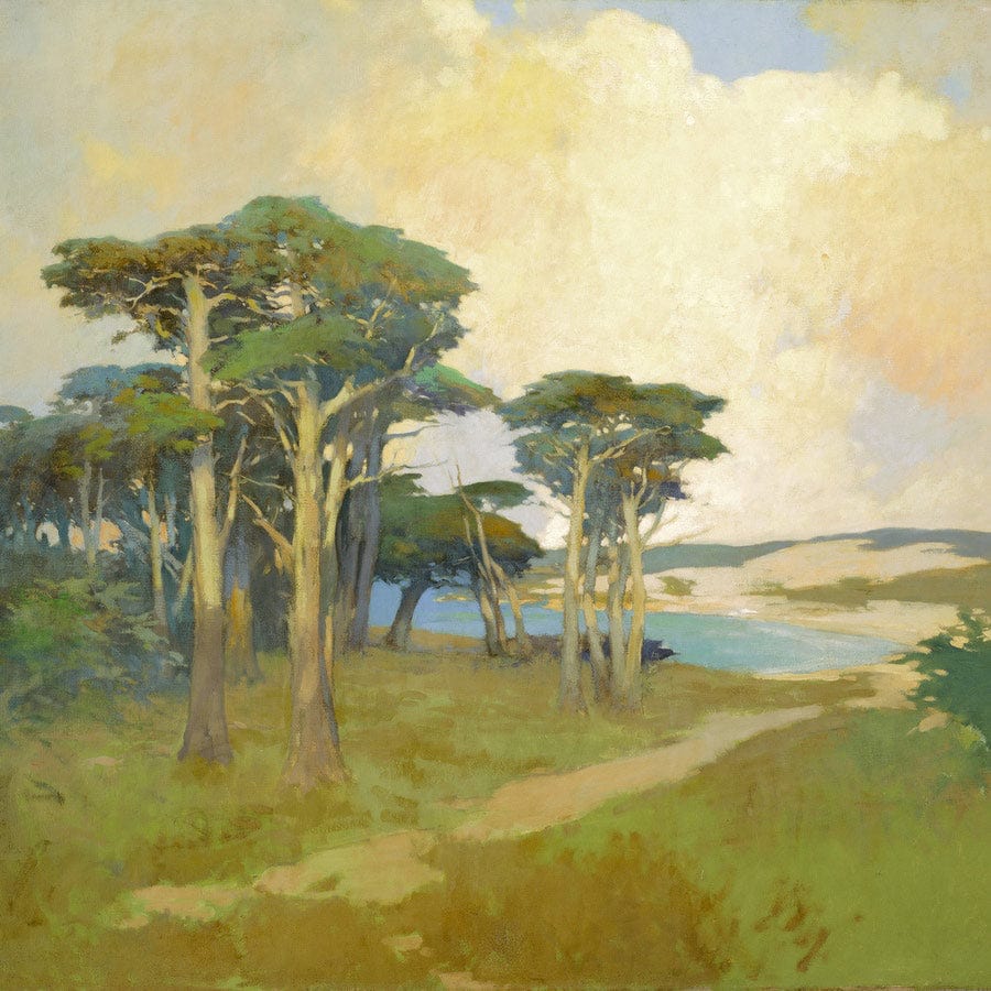 12" x 12" / Fine Art Paper Monterey Cypress, California By Arthur Frank Mathews Fine Art Print