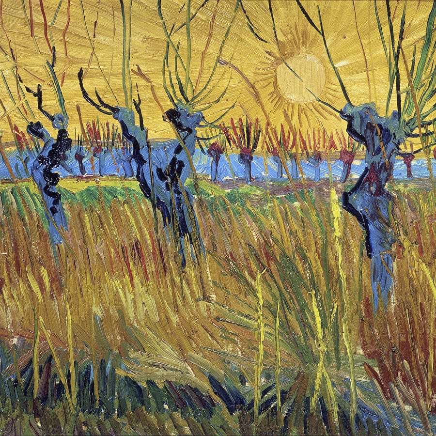 12" x 12" / Fine Art Paper Pollarded Willows And Setting Sun By Vincent Van Gogh Fine Art Print