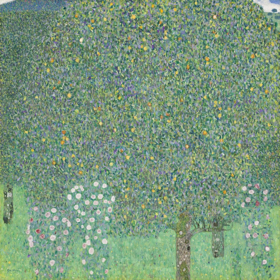 12" x 12" / Fine Art Paper Rosebushes Under The Trees 1905 Musee Dorsay By Gustav Klimt Fine Art Print