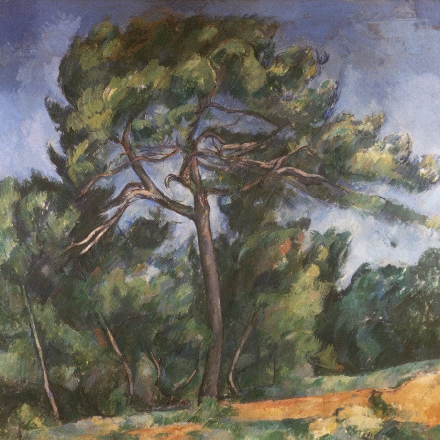 12" x 12" / Fine Art Paper The Great Pine By Paul Cezanne Fine Art Print