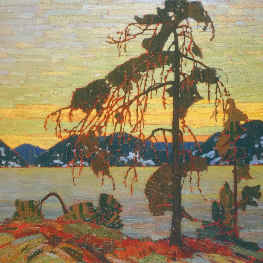 12" x 12" / Fine Art Paper The Jack Pine By Tom Thomson Fine Art Print