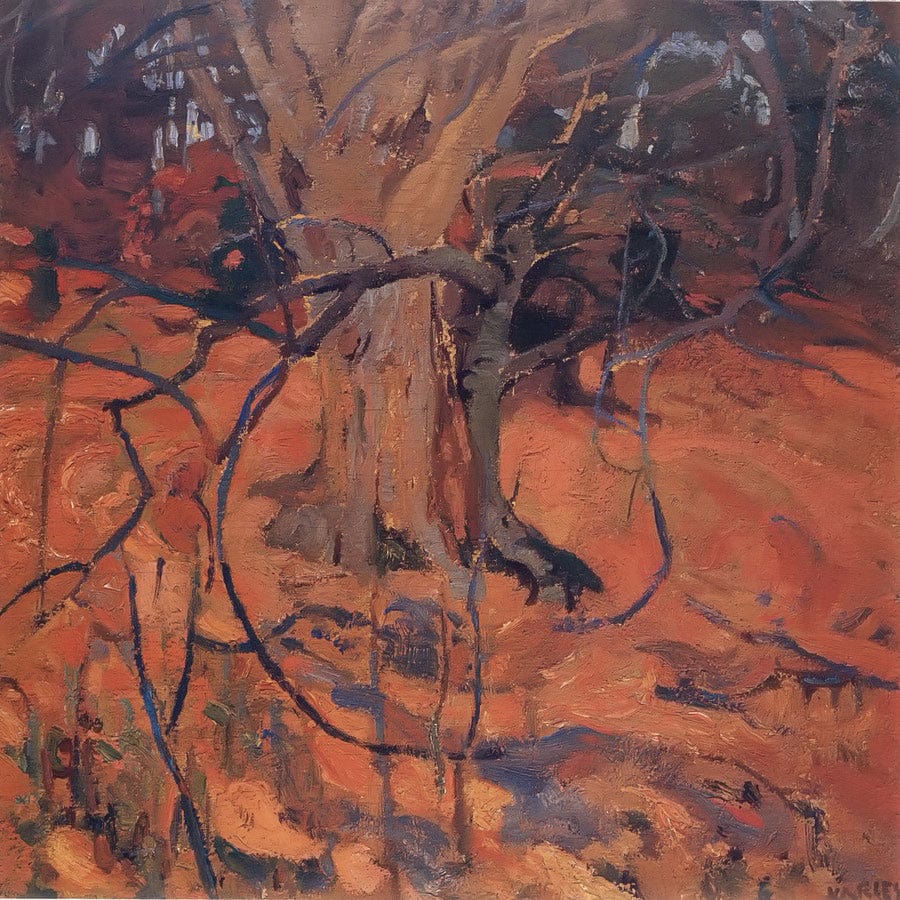 12" x 12" / Fine Art Paper The Wonder Tree By Fh Varley Fine Art Print