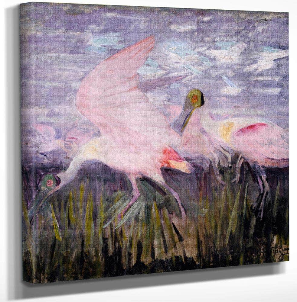 18" x 24" / Canvas Wrap Roseate Spoonbills, Study For Book Concealing Coloration In The Animal Kingdom By Abbott Handerson Thayer Fine Art Print