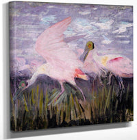 18" x 24" / Canvas Wrap Roseate Spoonbills, Study For Book Concealing Coloration In The Animal Kingdom By Abbott Handerson Thayer Fine Art Print