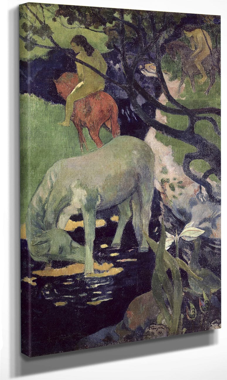 18" x 24" / Canvas Wrap The White Horse By Eugene Henri Paul Gauguin Fine Art Print