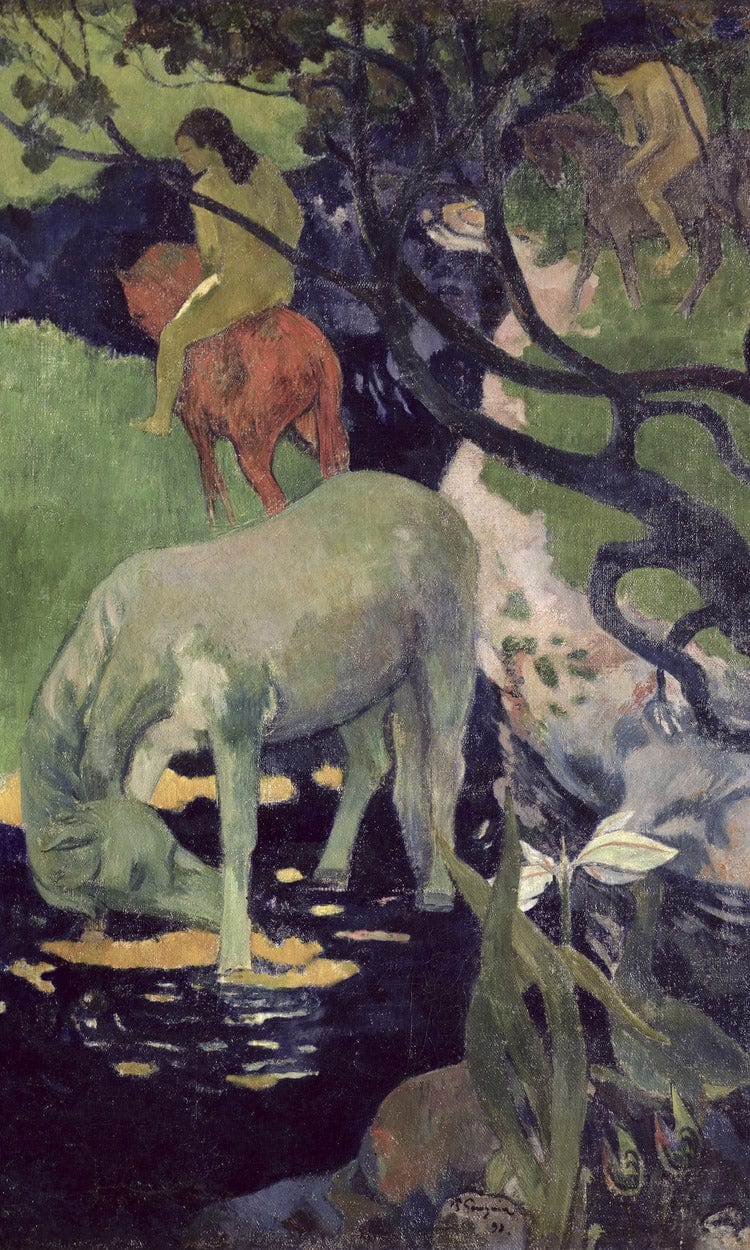 18" x 24" / Canvas Wrap The White Horse By Eugene Henri Paul Gauguin Fine Art Print