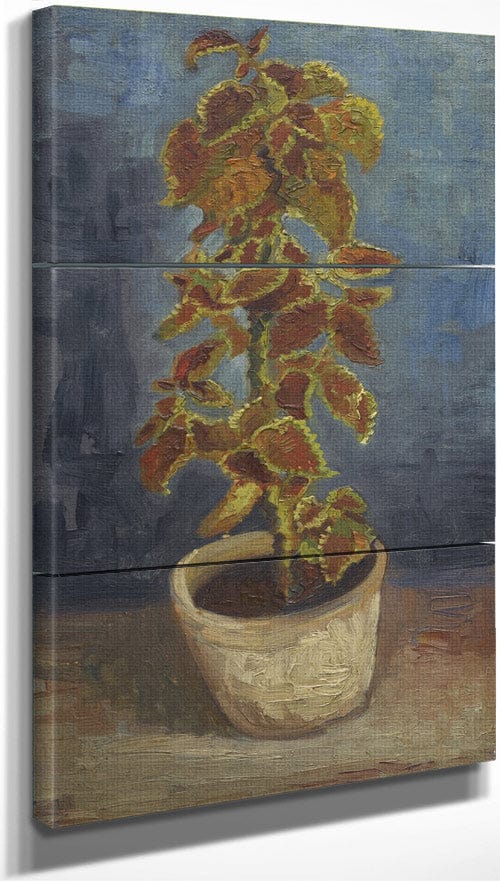 18" x 36" / Split Canvas Flame Nettle In A Flowerpot By Vincent Van Gogh Fine Art Print