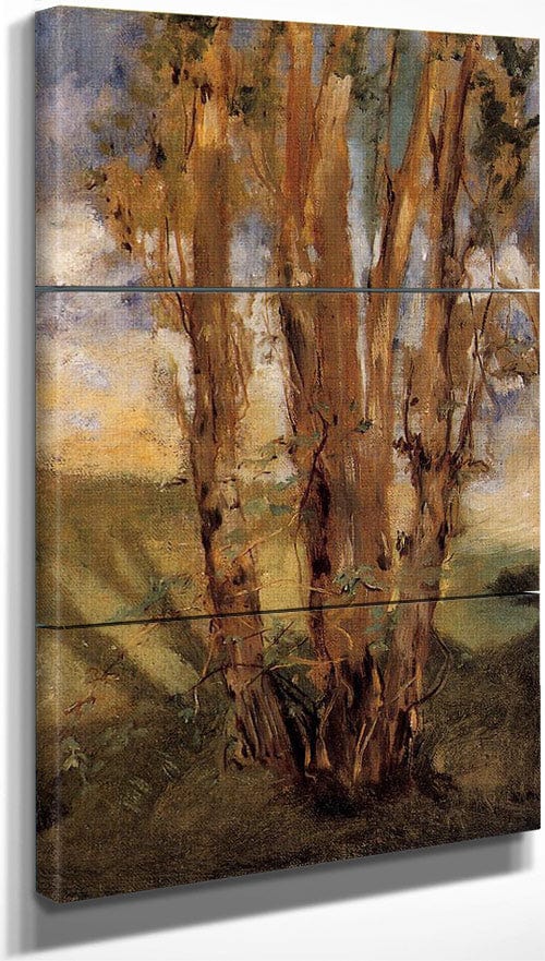 18" x 36" / Split Canvas Study Of Trees 1859 Oil On Canvas Private Collection By Edouard Manet Fine Art Print