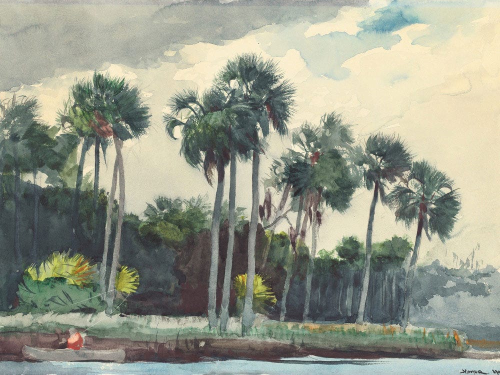 Red Shirt, Homosassa, Florida By Winslow Homer Fine Art Print 2