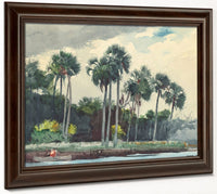 Red Shirt, Homosassa, Florida By Winslow Homer Fine Art Print 2