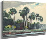 Red Shirt, Homosassa, Florida By Winslow Homer Fine Art Print 2