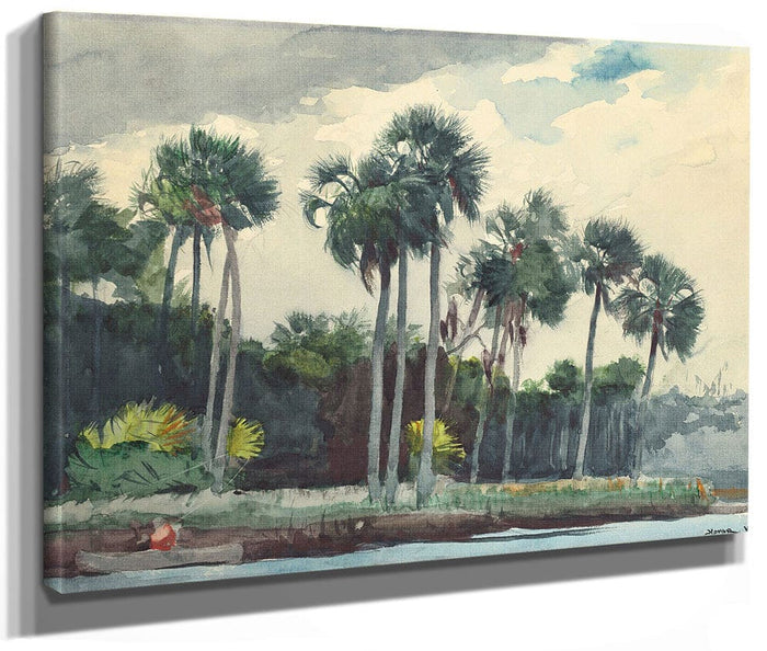 Red Shirt, Homosassa, Florida By Winslow Homer Fine Art Print 2