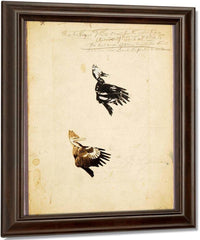 2 Rush Stencils, Study Folder For Book Concealing Coloration In The Animal Kingdom By Abbott Handerson Thayer Fine Art Print