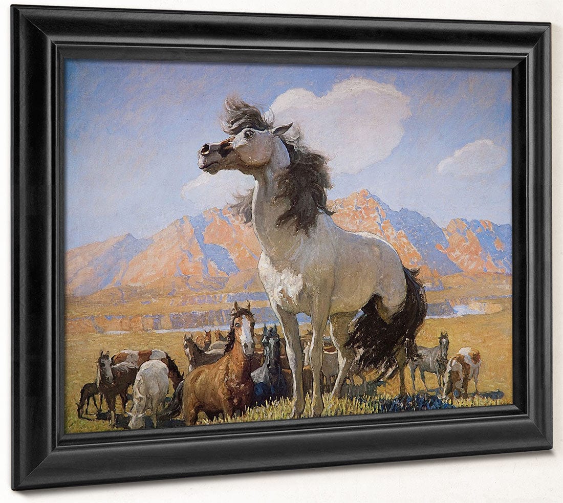 Smokey Face By By By Nc Wyeth By Nc Wyeth Fine Art Print 2