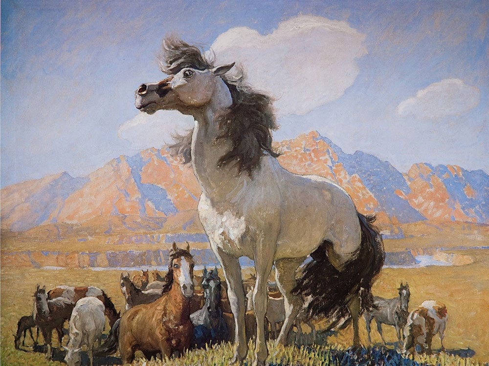 Smokey Face By By By Nc Wyeth By Nc Wyeth Fine Art Print 2