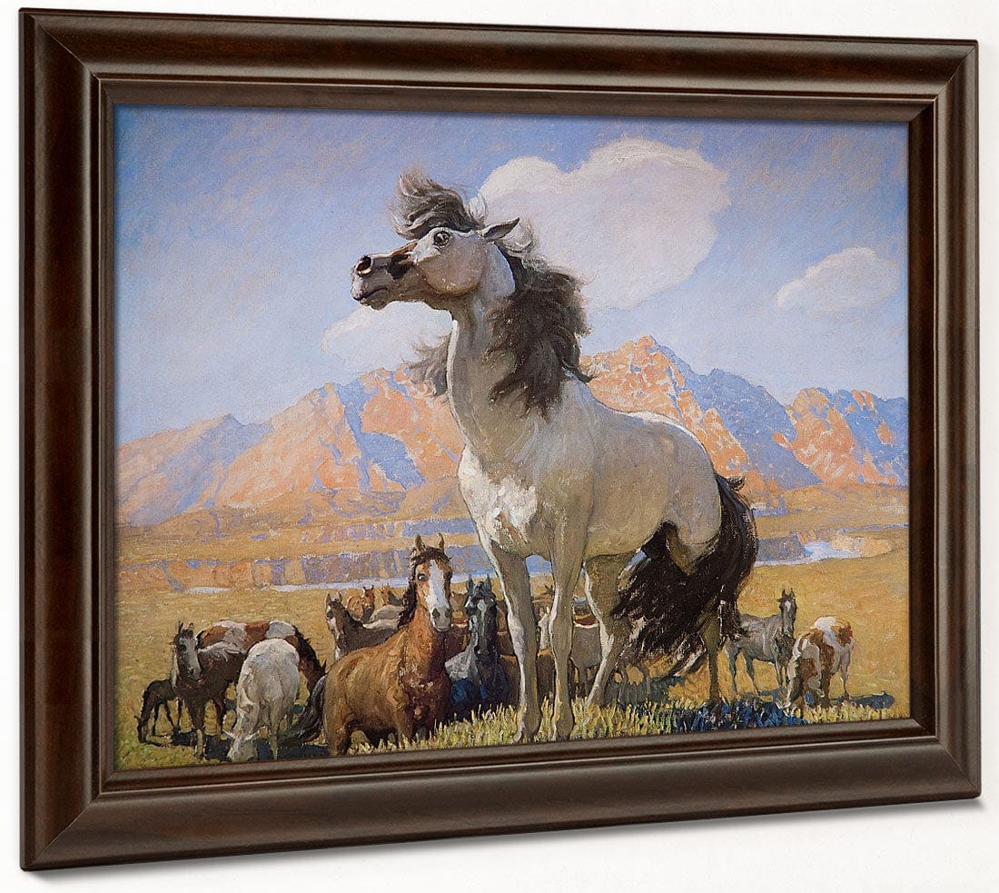 Smokey Face By By By Nc Wyeth By Nc Wyeth Fine Art Print 2