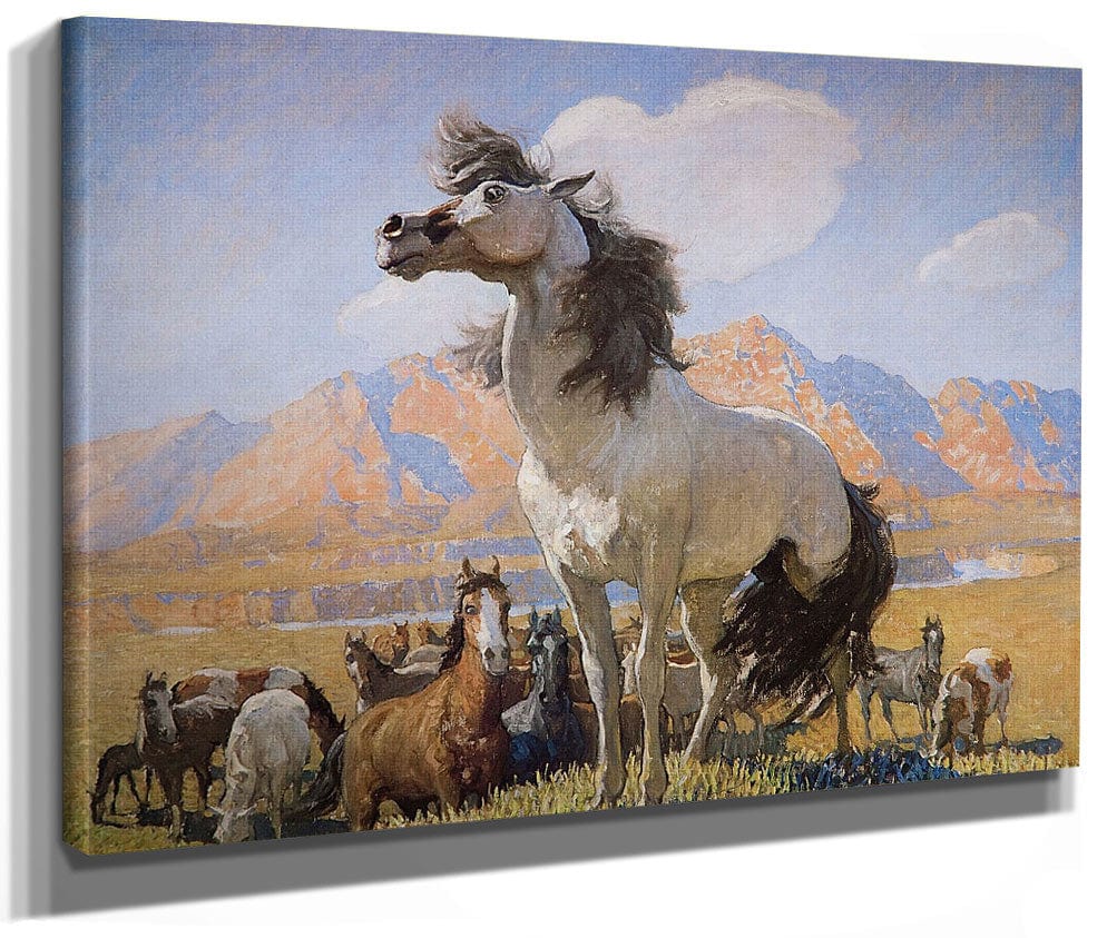 Smokey Face By By By Nc Wyeth By Nc Wyeth Fine Art Print 2