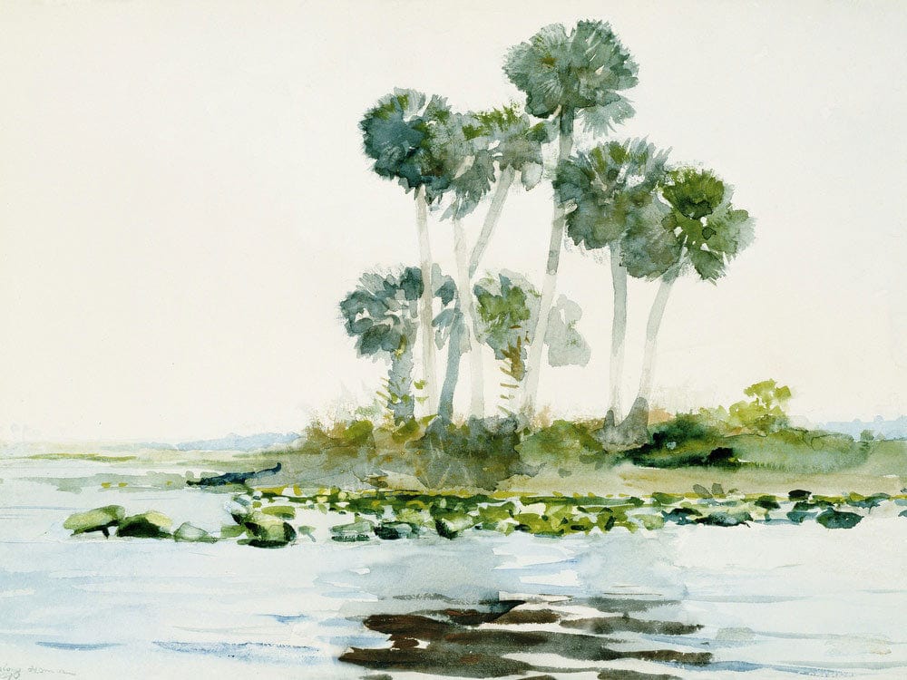 St. Johns River, Florida By Winslow Homer Fine Art Print 2