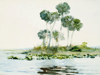 St. Johns River, Florida By Winslow Homer Fine Art Print 2