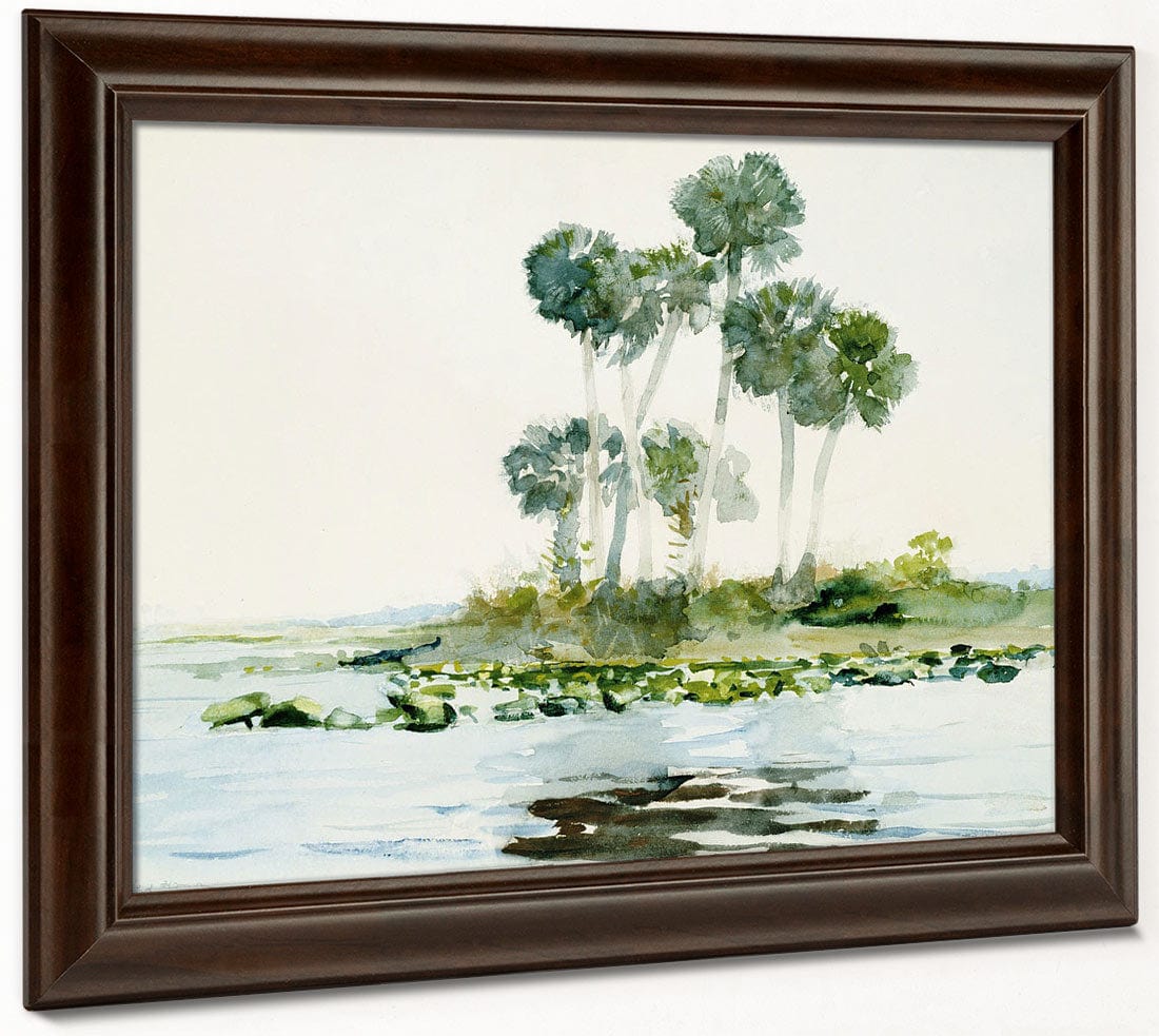 St. Johns River, Florida By Winslow Homer Fine Art Print 2