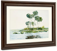 St. Johns River, Florida By Winslow Homer Fine Art Print 2