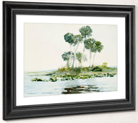 St. Johns River, Florida By Winslow Homer Fine Art Print 2