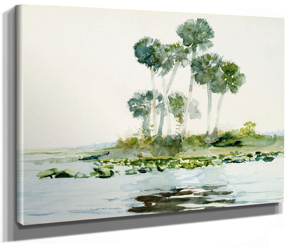 St. Johns River, Florida By Winslow Homer Fine Art Print 2